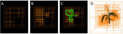 Fast High Resolution Volume Carving for 3D Plant Shoot Reconstruction